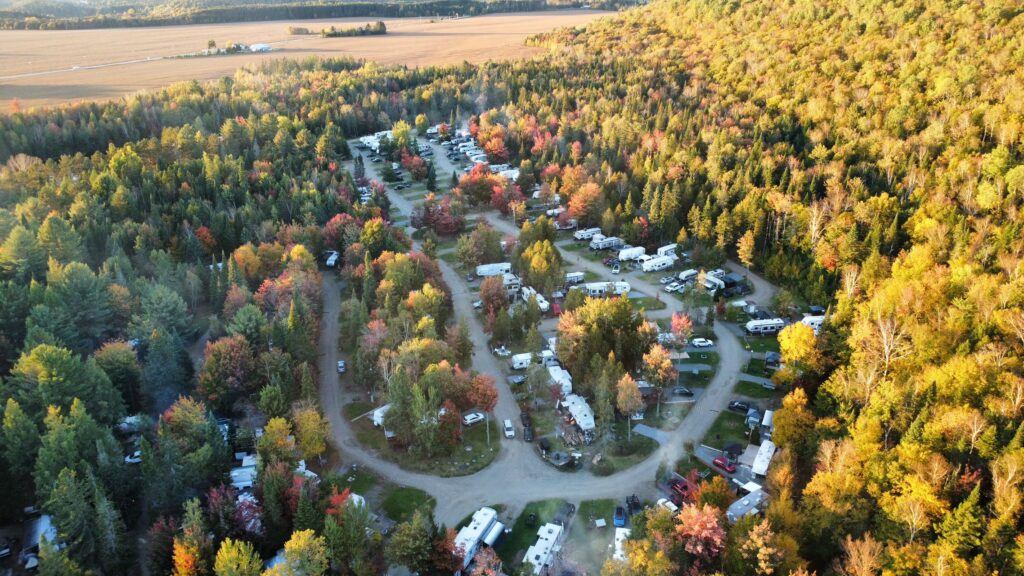aerial view of a forest with many rvs